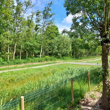 Wellnesshuis Met Hottub, Ligbad En Grote Tuin Villa Tzummarum Esterno foto