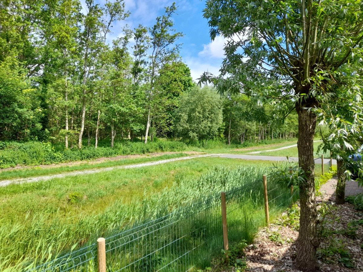 Wellnesshuis Met Hottub, Ligbad En Grote Tuin Villa Tzummarum Esterno foto